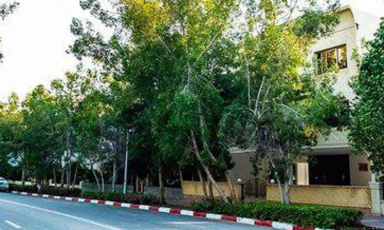 اجاره آپارتمان دو خوابه طبقه دوم کیش