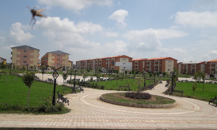 اجاره واحد 73 متری با پارکینگ در رشت