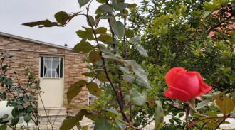 اجاره ویلا سوئیت نقلی نیاه‌کوه