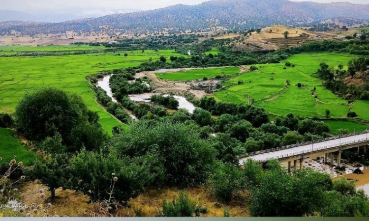 اجاره ویلا باغ زیبادرمنطقه بکر