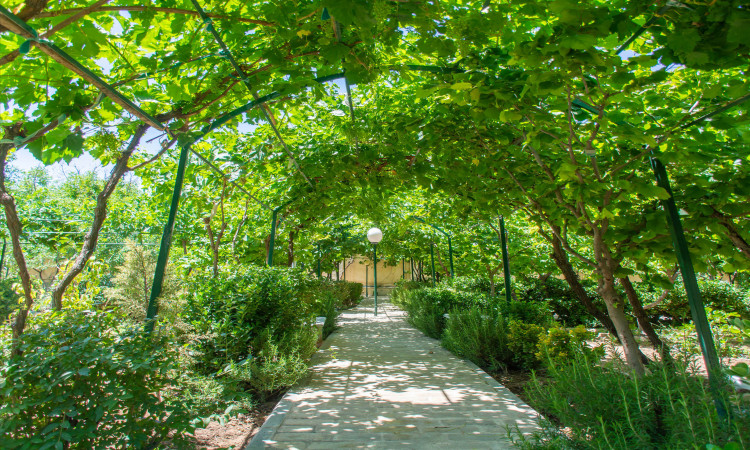 اجاره ویلا استخردار شهسوارانی کردان