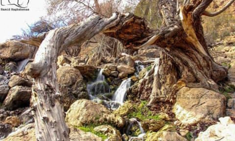 رزرو بومگردی آس اتاق 3