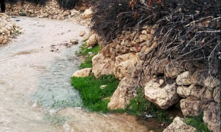 رزرو بومگردی آس اتاق 3