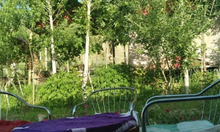 رزرو بوم گردی ملکا اتاق 25 متری