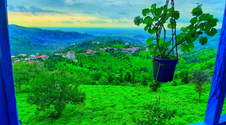 رزرو بوم گردی شاهین اتاق 1