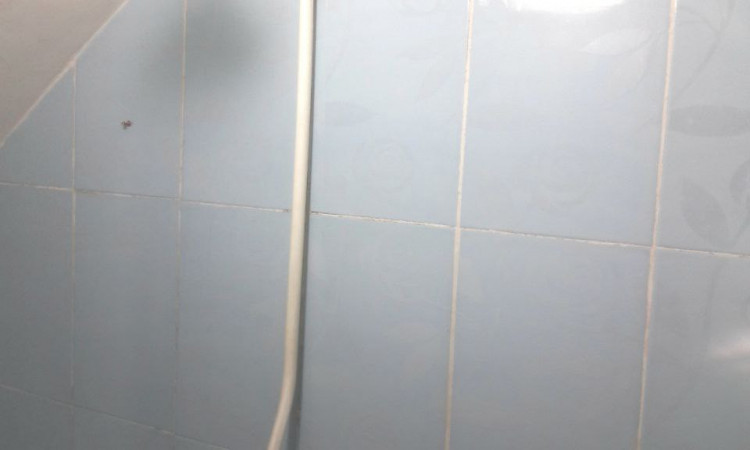 اجاره واحد یک خوابه همکف