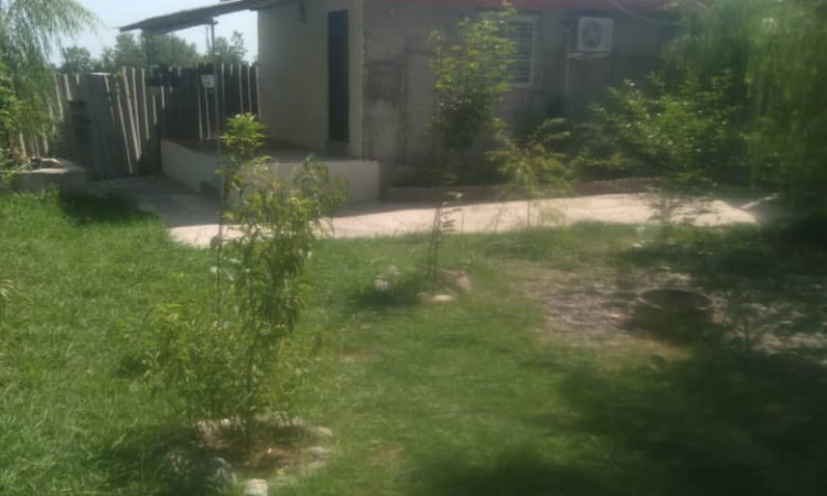 تأجير سكن نوري سنغار