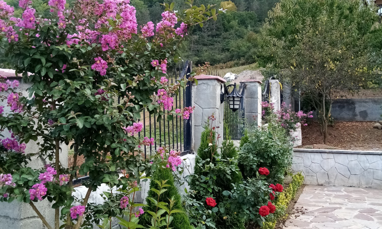 اجاره ویلا روستیک جنگلی کلاردشت