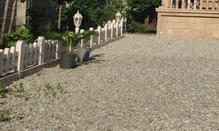 اجاره ویلا ساحلی دو خواب سبز