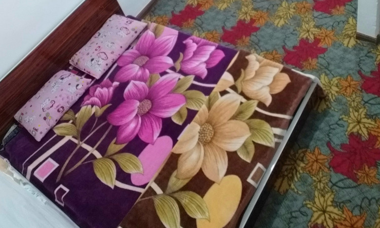 اجاره ویلا تکخواب در ابتدای ییلاقات ماسال