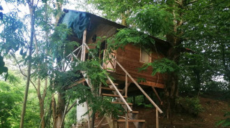 اجاره کلبه درختی