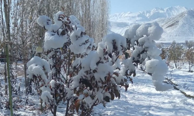 ویلا 2 باغ نمرود با استخر (سانسی)