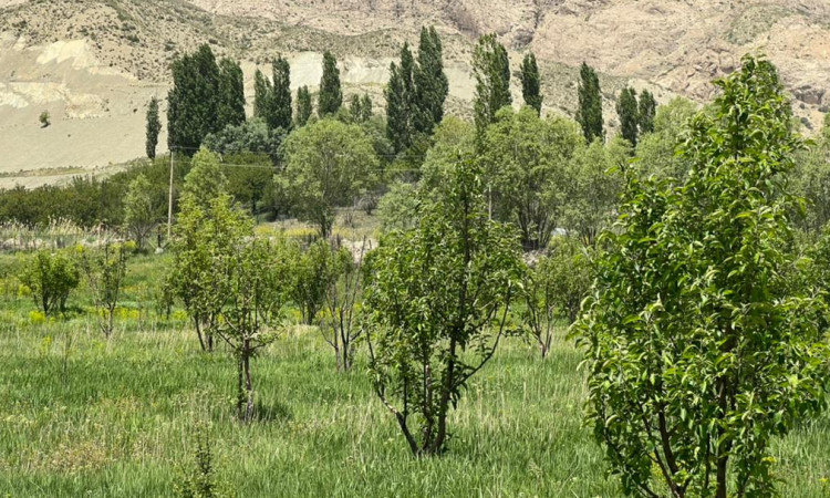 کلبه چوبی باران با استخر سانسی