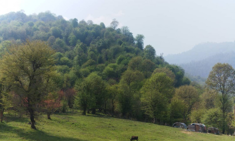 اجاره کلبه چوبی دوبلکس استخر و جکوزی