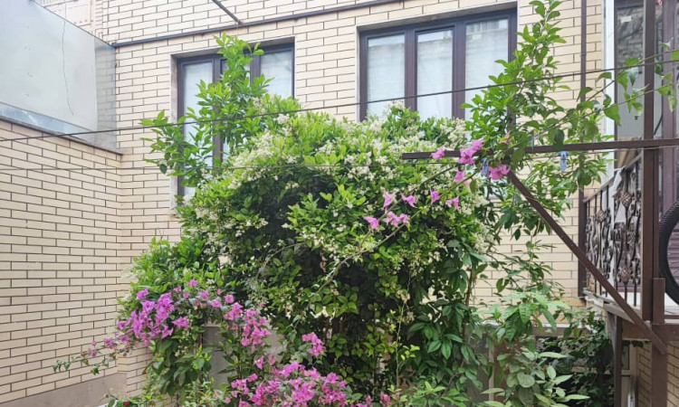 اجاره خانه ویلایی شیک در کاشان