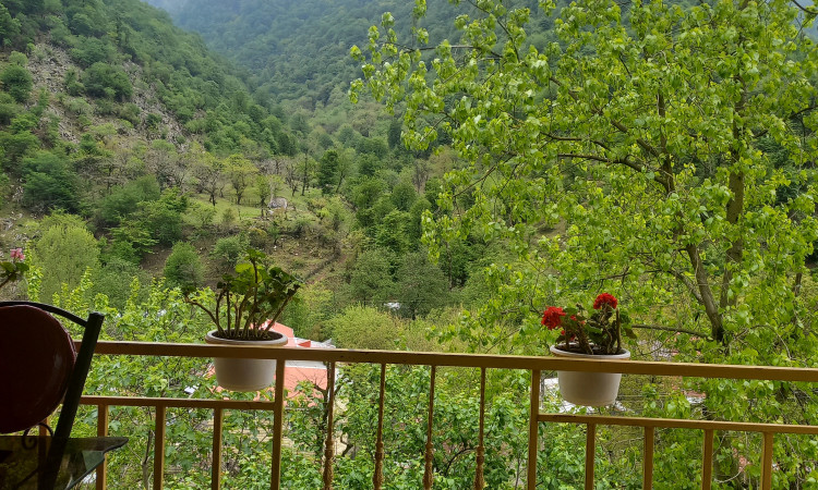 اجاره ویلای دوخوابه روبه کوهستان و جنگل واحد 1