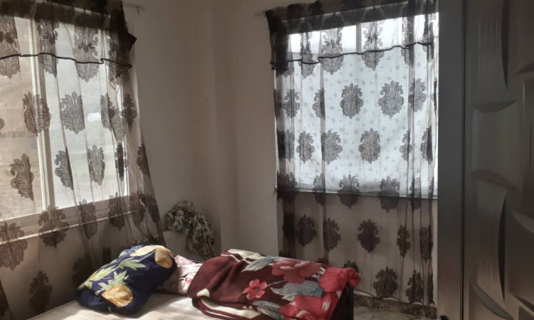 اجاره ویلا تک خواب جنگلی جهان