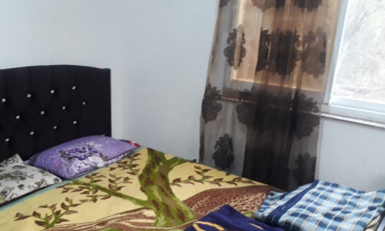اجاره ویلا تک خواب جنگلی جهان