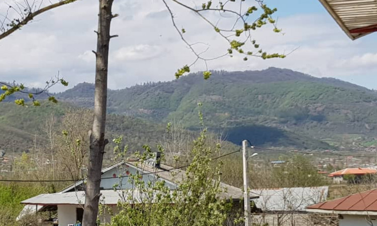 فيلا من ثلاث غرف نوم مع ثلاثة مناظر تطل على الغابة