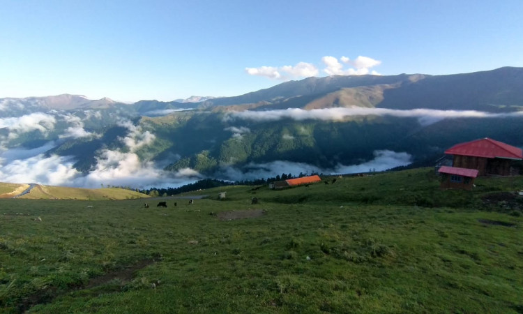 رزرو کلبه چوبی در اولسبلنگاه (شنبه راه)