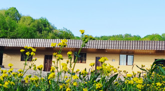 رزرو اقامتگاه جنگلی آرامش مازندران