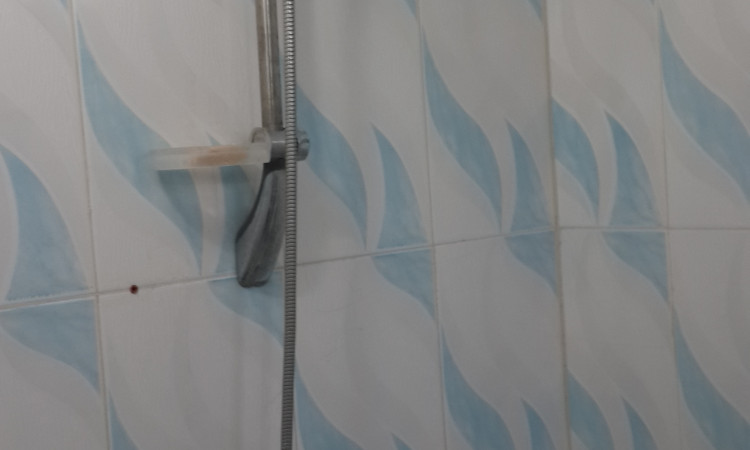 اجاره خانه مسافر امیر گرگان 1