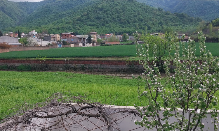 اجاره خانه مسافر امیر گرگان 1