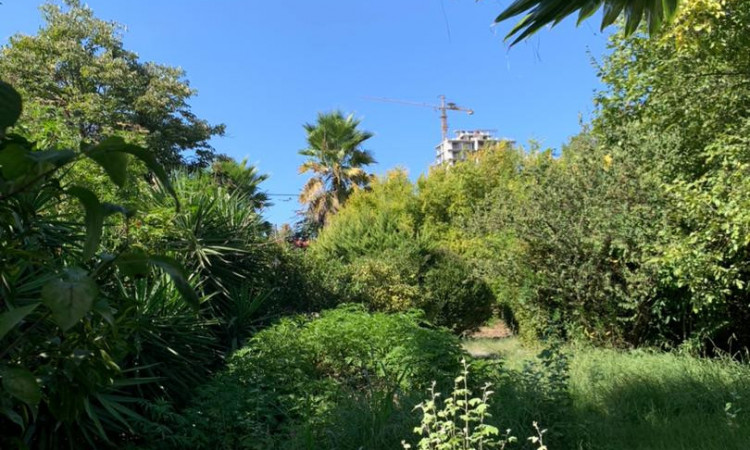 اجاره ویلا باغ منطقه برند ایزدشهر نزدیک به دریا