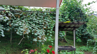 اجاره سوئیت باغ دلنشین