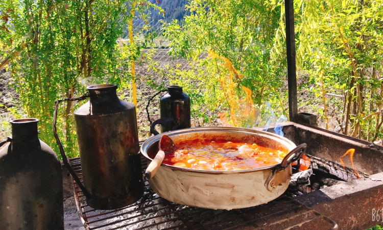 رزرو ویلا باغ زربین گلستان