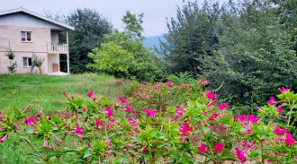 اجاره ویلای جنگلی طبقه دوم مشرف به جنگل