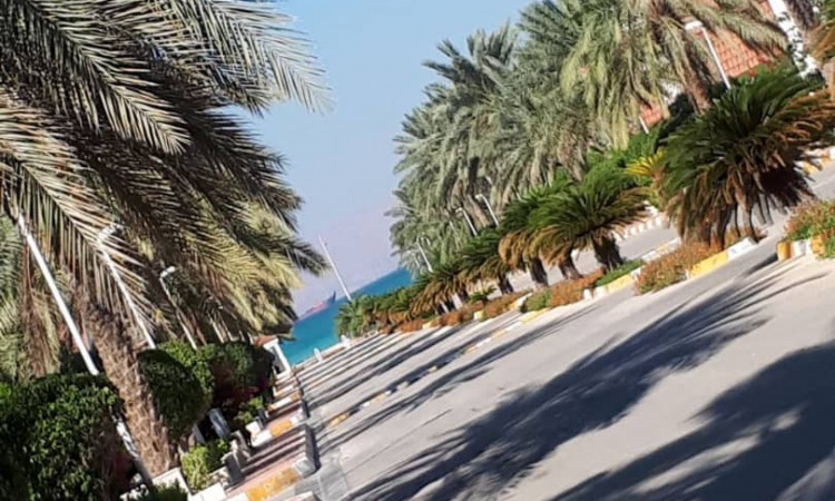 اجاره ویلا تک خواب دامون کیش
