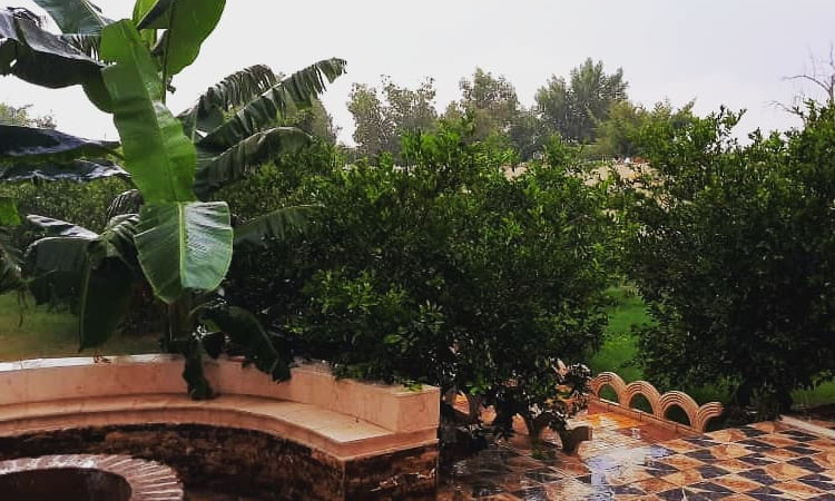 اجاره ویلا باغ آکاسیا