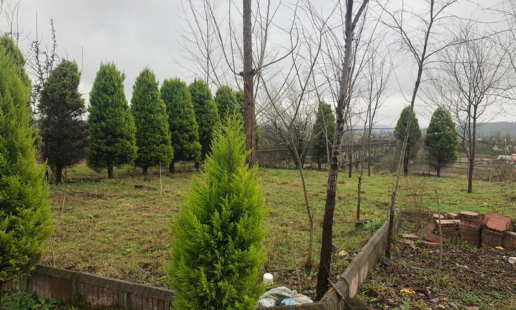 اجاره باغ ویلای دوبلکس شادی