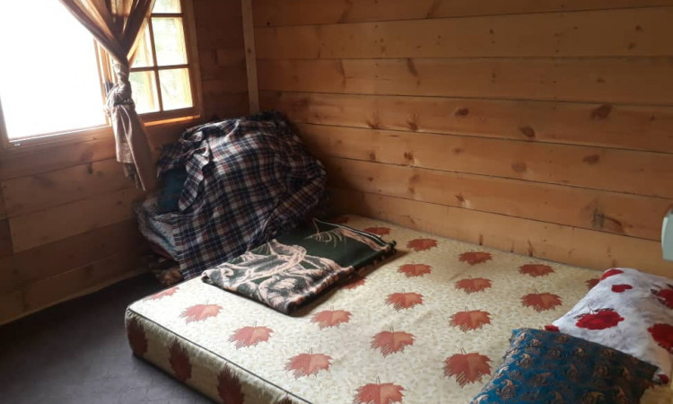 کلبه چوبی جنگلی محمد ماسال