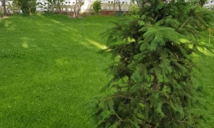 اجاره ویلا استخردارآبگرم شیک هروی
