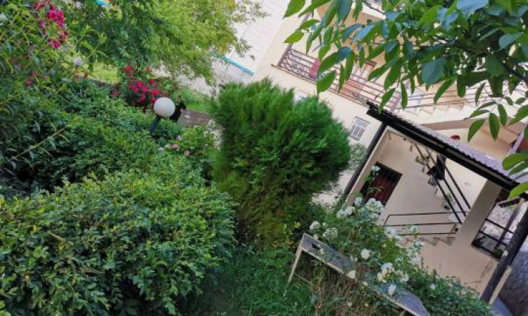 اجاره ویلا ویودار جنگلی