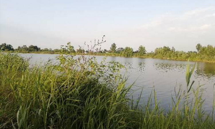 اجاره آپارتمان سه خواب آفتاب