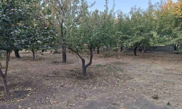 اجاره باغ ویلا غفاری سنندج