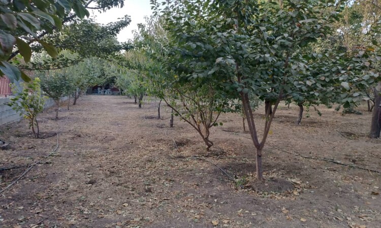 اجاره باغ ویلا غفاری سنندج