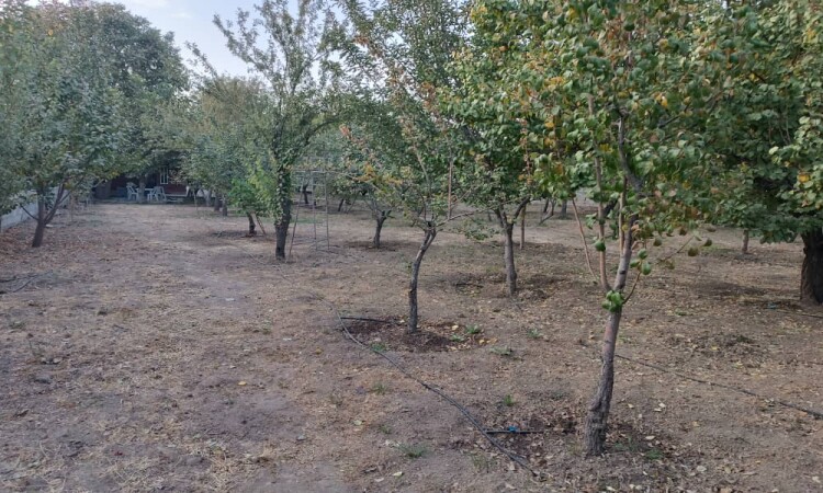 اجاره باغ ویلا غفاری سنندج