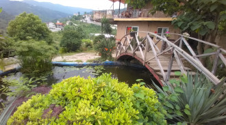 اجاره ویلا جنگلی استخر دار گل شمعدانی دوبلکس