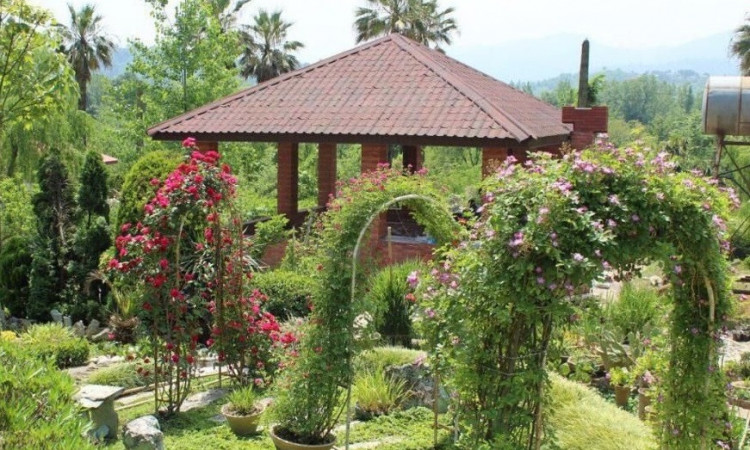 اکولوژ مزرعه قوها(کلبه چوبی دبل)