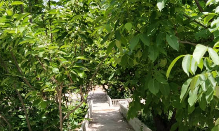 فيلا حديقه، مسبح صيفي كود 330