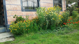 اجاره ویلا تکخوابه نزدیک ساحل گیسوم و آبشار ویسادار