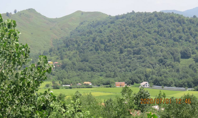 رزرو کلبه ى جنگلی