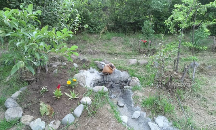 رزرو کلبه ى جنگلی
