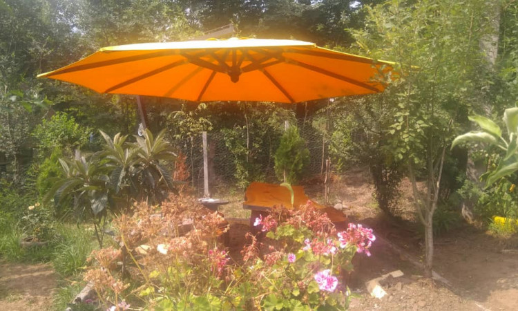 رزرو کلبه ى جنگلی