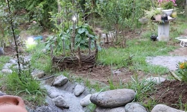 رزرو کلبه ى جنگلی