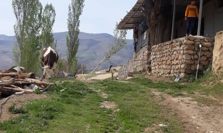 رزرو بوم گردی سورت اتاق (1)